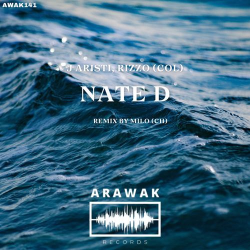 Nate D (Milo (CH) Remix) cover art