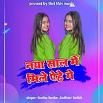 Naya Saal Me Mile Aihe Ge