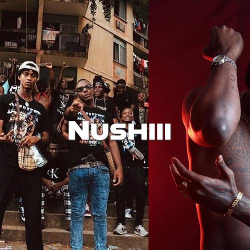 Nushiii cover art