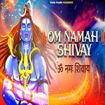 Om Namah Shivay