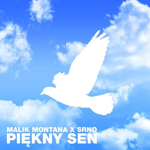 Piękny sen
