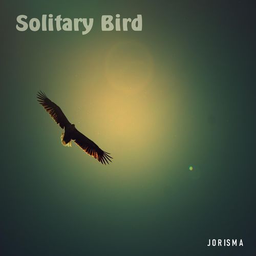 Solitary Bird