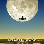 Tere Bina Suna Jahan