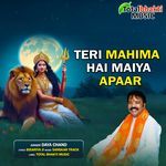 Teri Mahima Hai Maiya Apaar