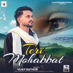 Teri Mohabbat