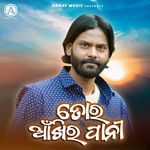 Tor Ankhir Pani artwork