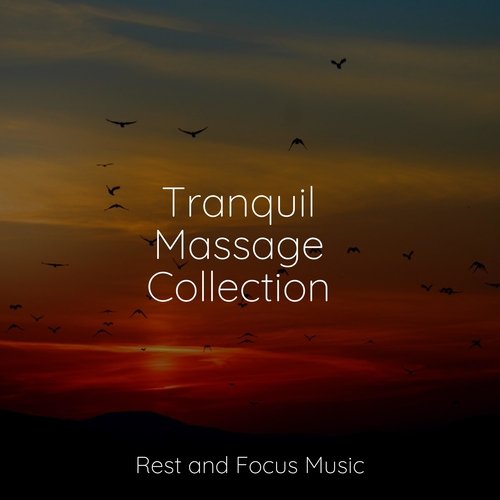 Tranquil Massage Collection