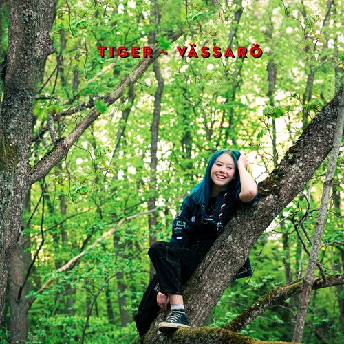 Vässarö cover art