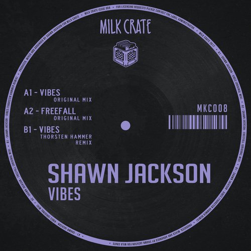 Vibes (Thorsten Hammer Remix) cover art