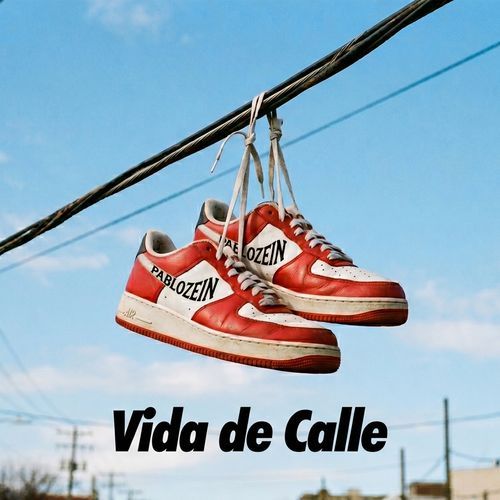 Vida De Calle cover art