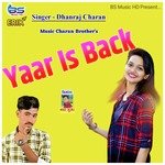 Yaar Is Back