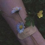 jaunga kaha, main to hoon yahan