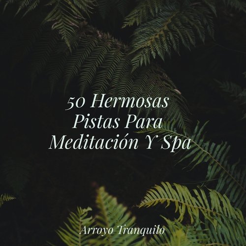 Melodías Suaves cover art