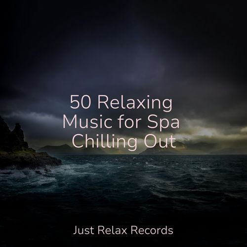 50 Relaxing Music for Spa Chilling Out_poster_image