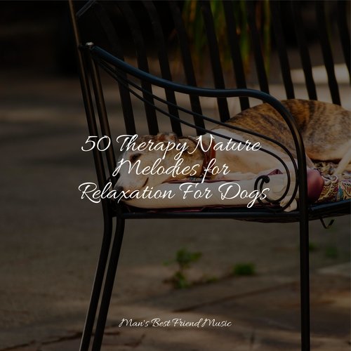 50 Therapy Nature Melodies for Relaxation For Dogs_poster_image