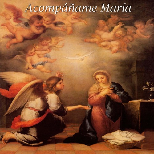 María Tú Lyrics - Acompáñame María - Only on JioSaavn