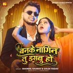 Banke Nagin Tu Dasbu Ho