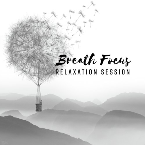 The Heart of Meditation cover art
