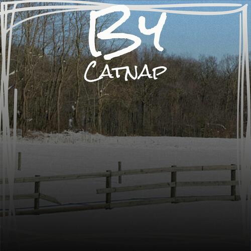 Countrified Journey cover art