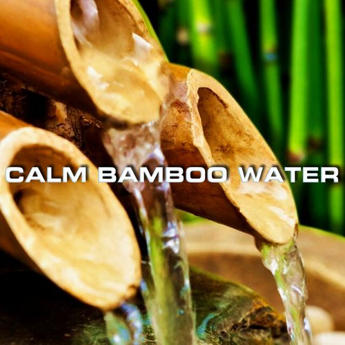 Calm Bamboo Water Sounds cover art