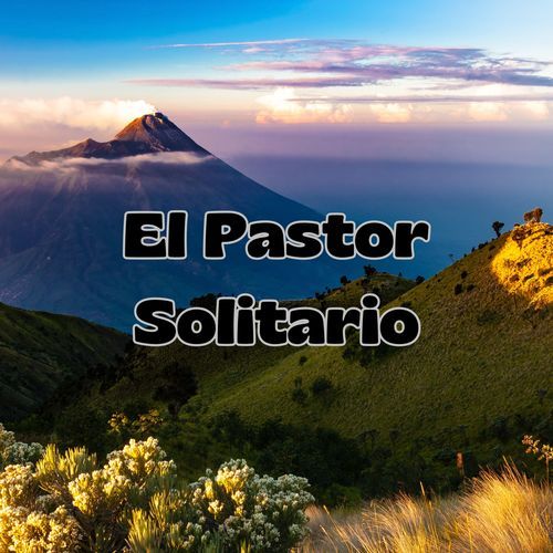 El Pastor Solitario_poster_image