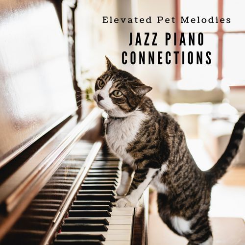 Elevated Pet Melodies: Jazz Piano Connections_poster_image