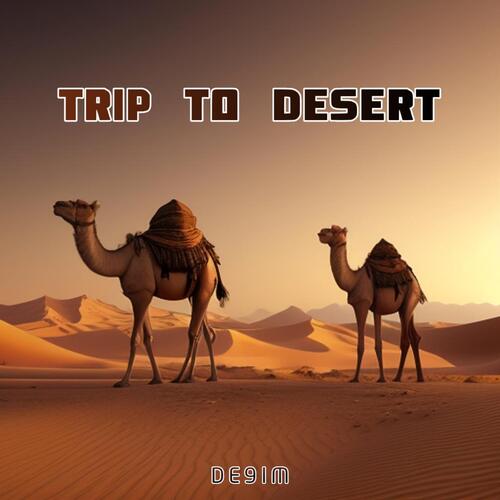 Explore The Desert_poster_image