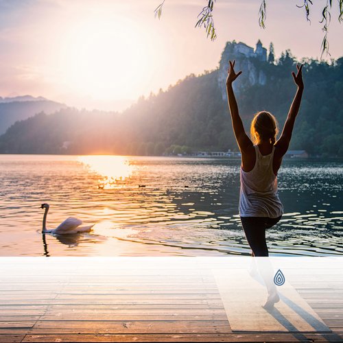 Calme Tranquillité d'Ikigai dans les Montagnes