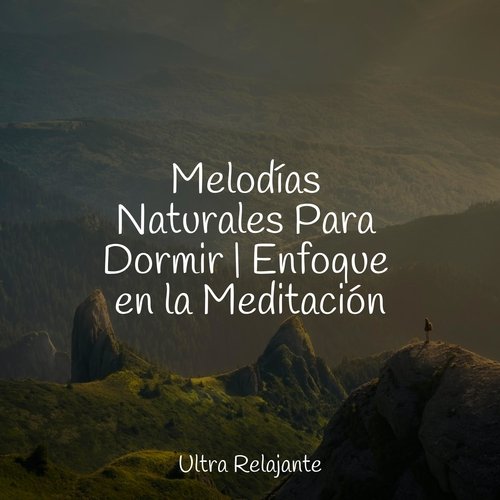 Una Probada A La Tranquilidad