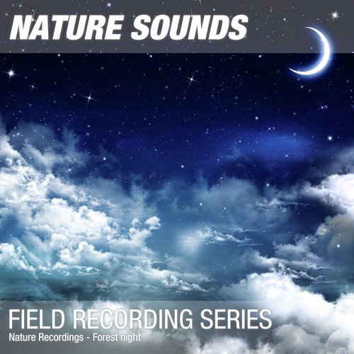 Nature Recordings - Forest night_poster_image