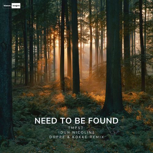 Need To Be Found (Doppe & Kokke Remix) cover art