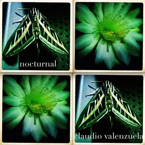 Megasunshine cover art