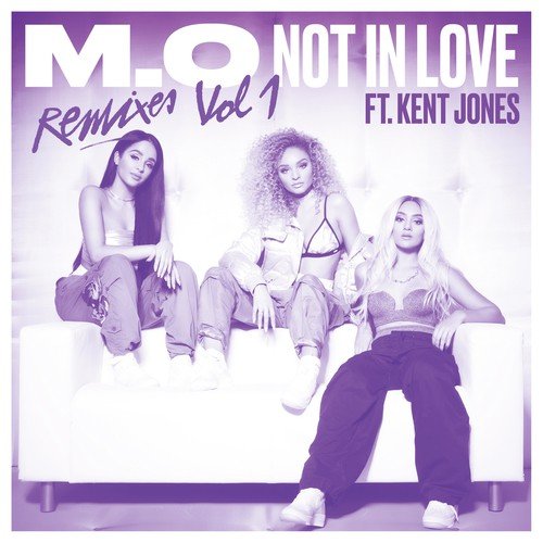 Not In Love (Remixes Vol. 1)_poster_image