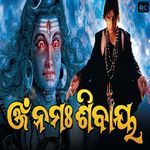 Om Namah Shivay - Title Track (From Om Namah Shivay)