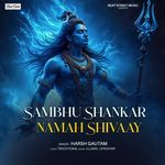 SAMBHU SHANKAR NAMAH SHIVAAY