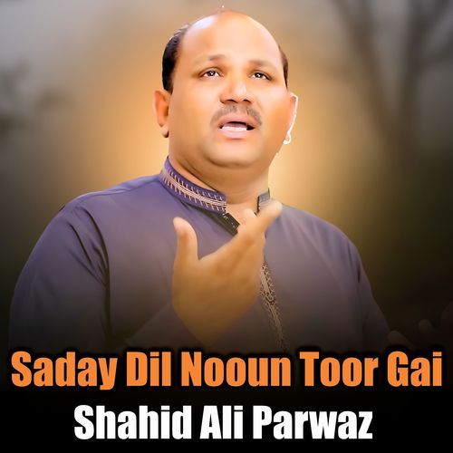 Saday Dil Nooun Toor Gai