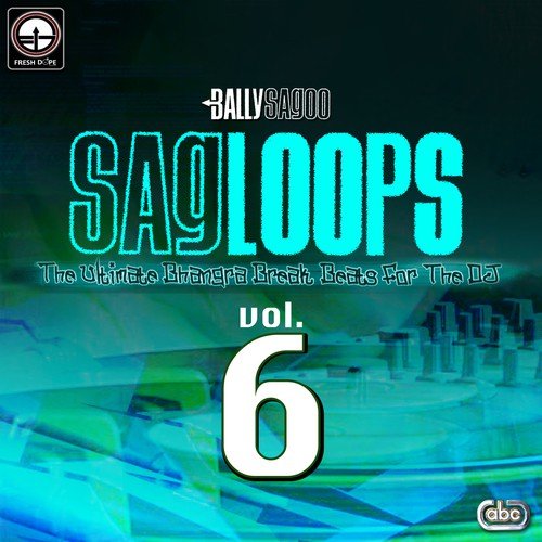 Sagloops Volume 6 - The Ultimate Bhangra Break Beats For The DJ
