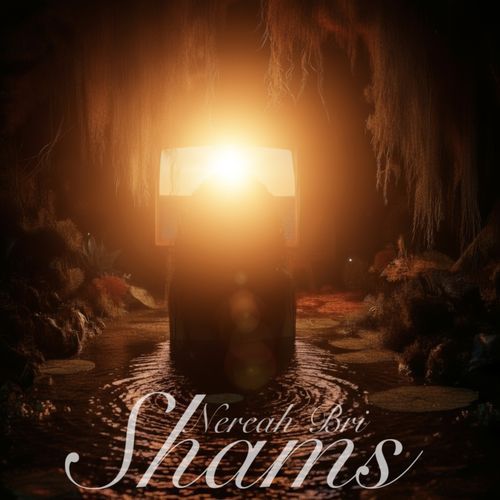 Shams cover art