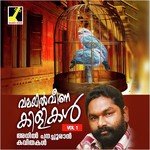 Vilkuvan Vachirikuna Pakshikal