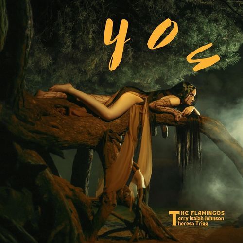 YOU (feat. The Flamingos) cover art