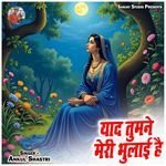 Yaad Tumne Meri Bhulai Hai