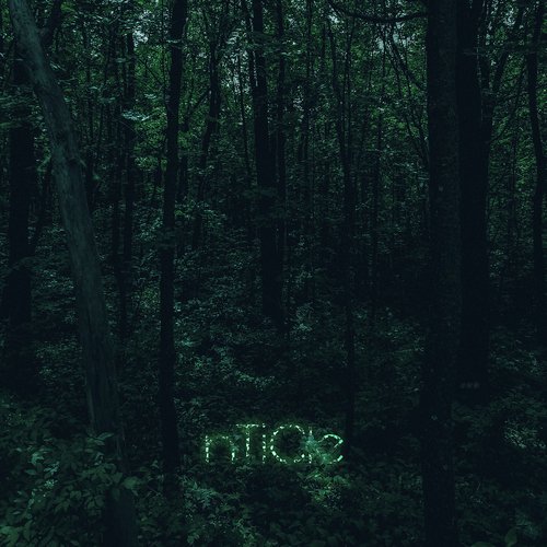 forest pulse