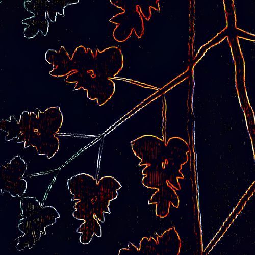 95gmv cover art