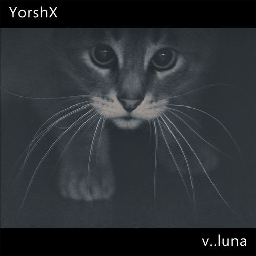 v..luna