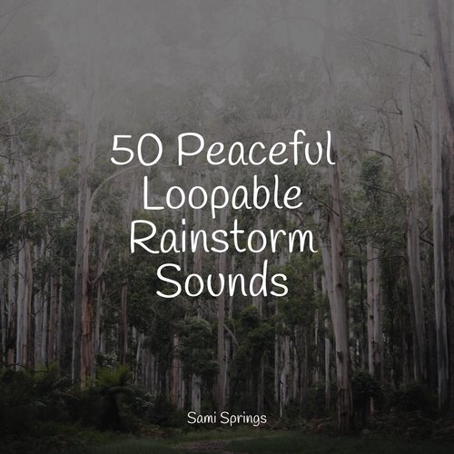 50 Peaceful Loopable Rainstorm Sounds