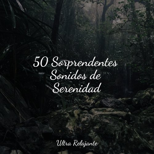 50 Sorprendentes Sonidos de Serenidad