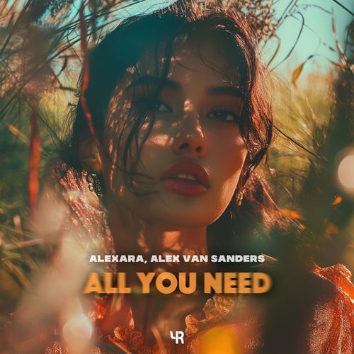 All You Need_poster_image