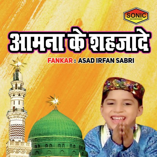 Amna Ke Sehzade