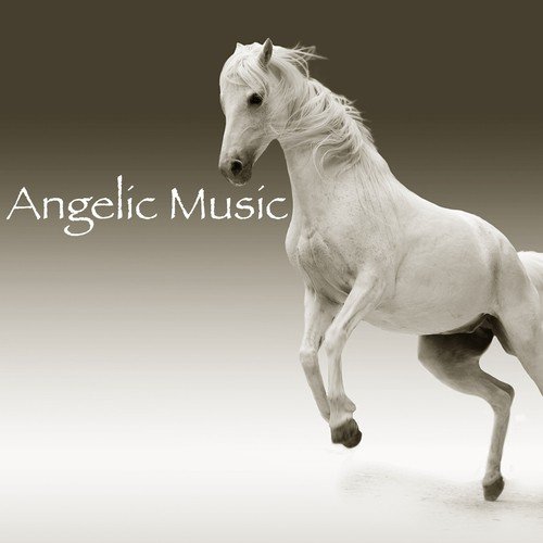 Angelic Music Academy