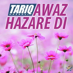 Tariq Hazarvi